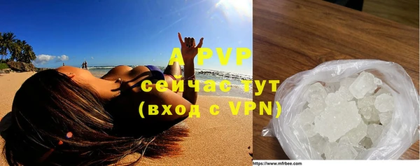 Альфа ПВП Белокуриха