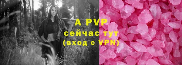 Альфа ПВП Белокуриха
